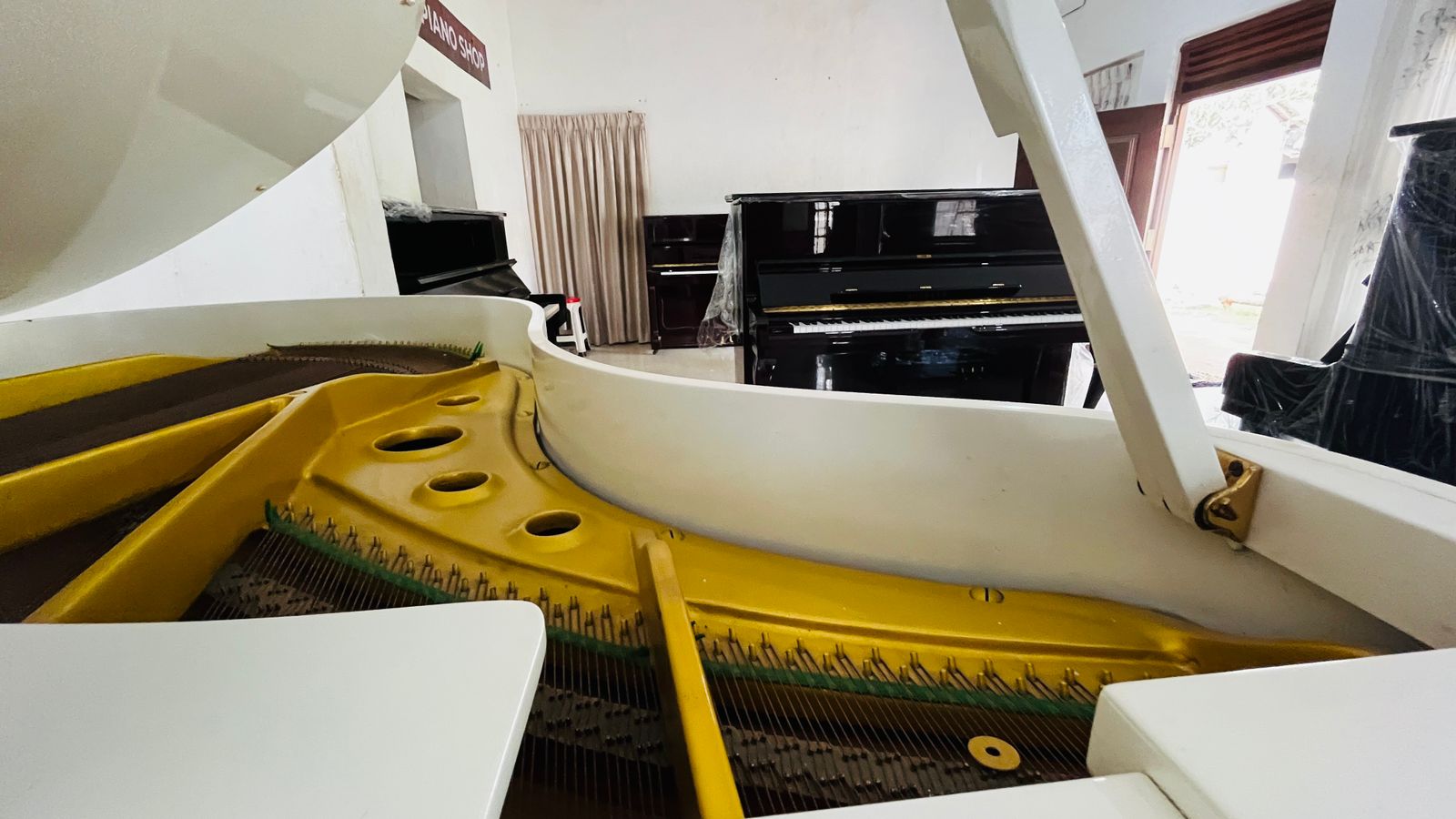 Premium piano showroom Sri Lanka - Kyle & Kylie Pianoforte